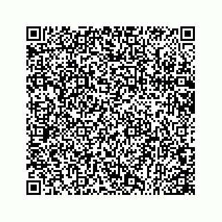 vCard 78166493713