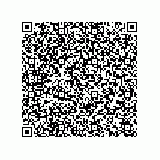 vCard 78166540002
