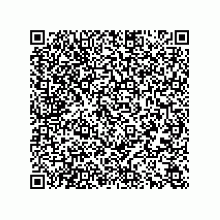 vCard 78166540100