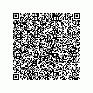vCard 78166540103