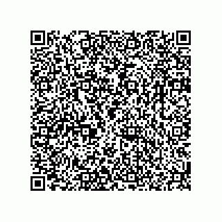 vCard 78166540111