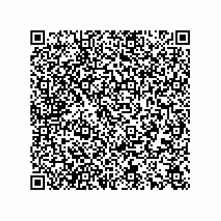 vCard 78166540217