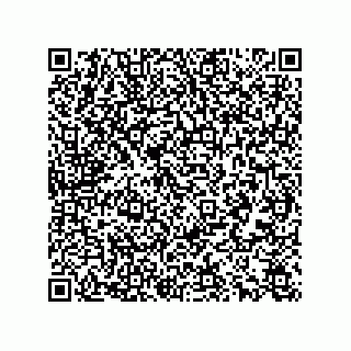 vCard 78166540317