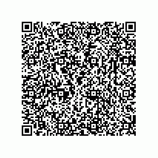 vCard 78166540321