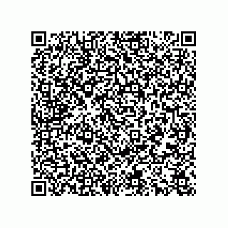 vCard 78166540378