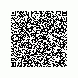 vCard 78166540381