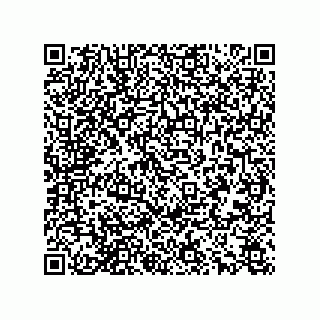 vCard 78166540387