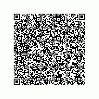 vCard 78166541277