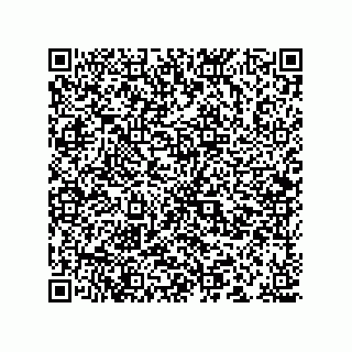 vCard 78166541287