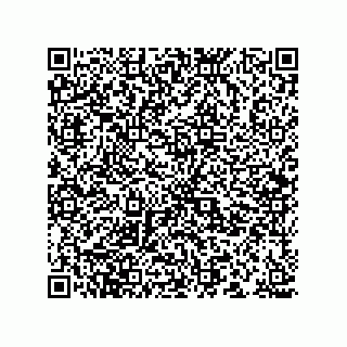 vCard 78166541293