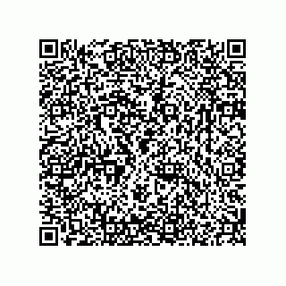 vCard 78166541295
