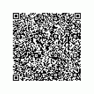 vCard 78166541301