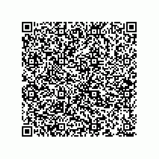 vCard 78166541311