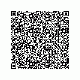 vCard 78166541313