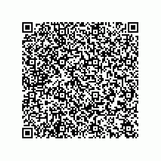 vCard 78166541317