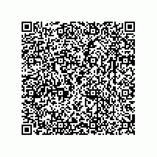 vCard 78166541329