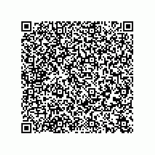 vCard 78166541331