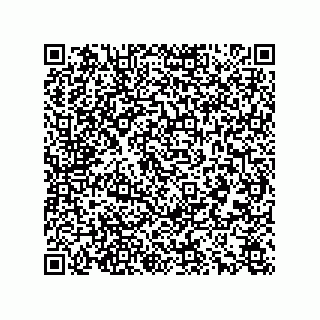 vCard 78166541333