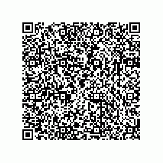 vCard 78166541377