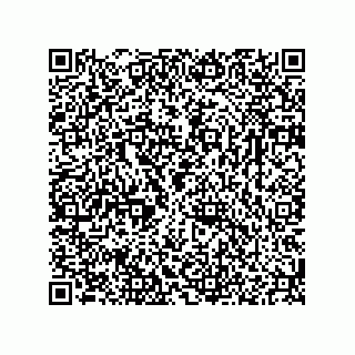 vCard 78166541381