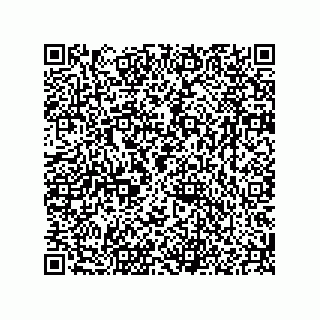 vCard 78166541500