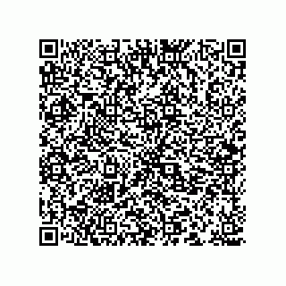 vCard 78166541537