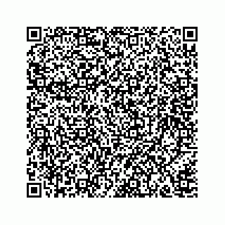vCard 78166653101