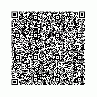 vCard 78166653102