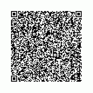 vCard 78166653107