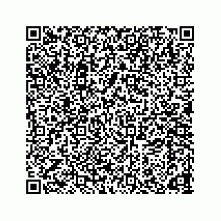 vCard 78166653111