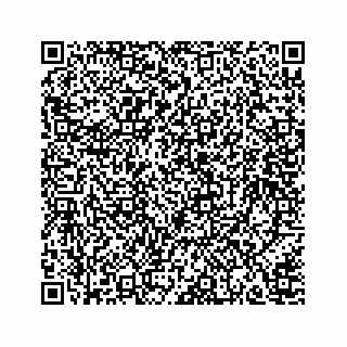 vCard 78166653113