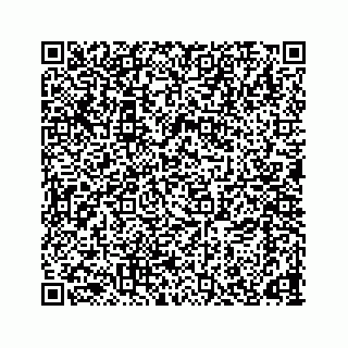 vCard 78166653115