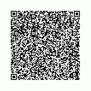vCard 78166653125