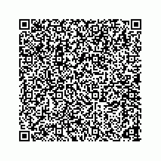 vCard 78166653127
