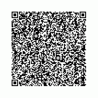 vCard 78166653128