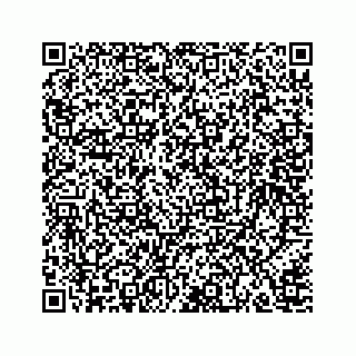 vCard 78166653129