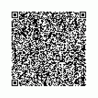 vCard 78166653131