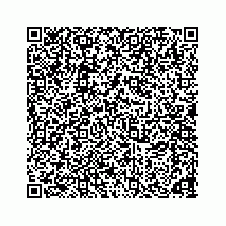 vCard 78166653133