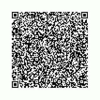 vCard 78166653140