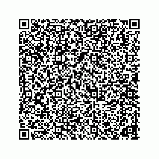 vCard 78166653152
