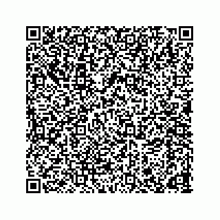 vCard 78166653155