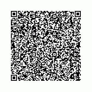 vCard 78166653169