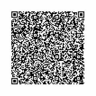 vCard 78166653173