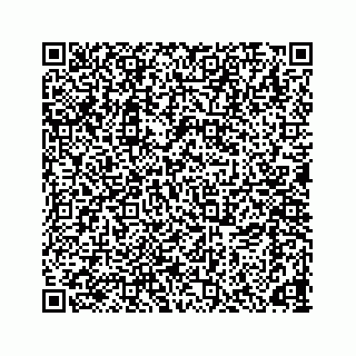 vCard 78166653181