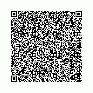 vCard 78166653183