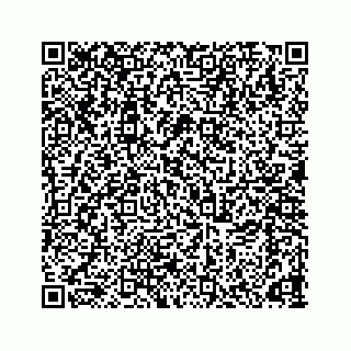 vCard 78166653184