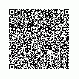 vCard 78166653187