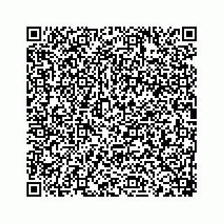 vCard 78166653189