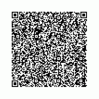 vCard 78166653197