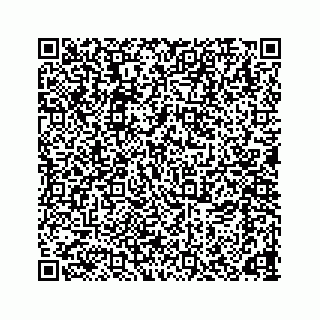 vCard 78166653199